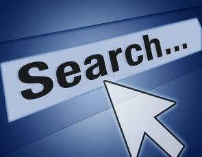 Drupal Hong Website Search and Product Search Functionality